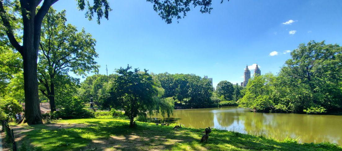Central Park Picnic Tour